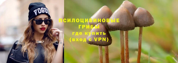 ешки Алексеевка